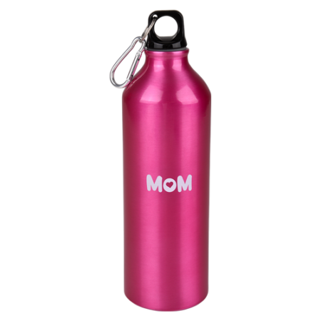 Sports Water Bottle With Carabiner Clip for mom